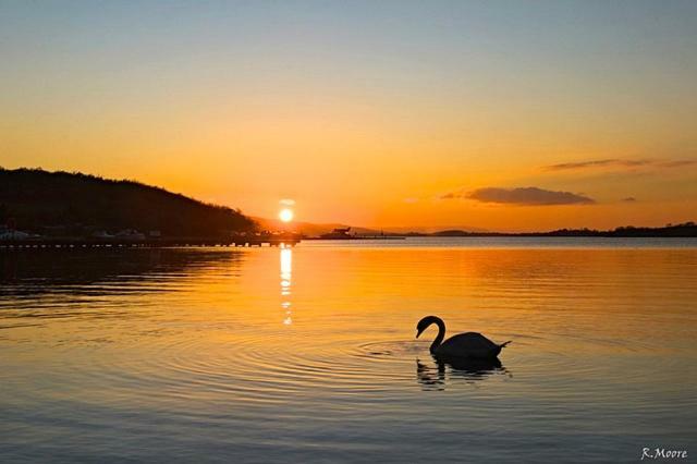 Kesh Lakeside Cottage Bagian luar foto